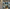 Promotion banner