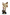 Pulcinella con pandero - Escultura 35 cm 